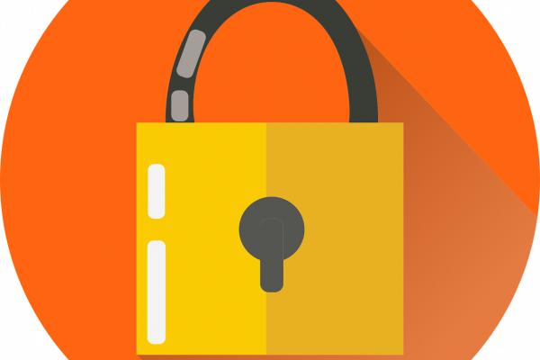 Free lock security key vector